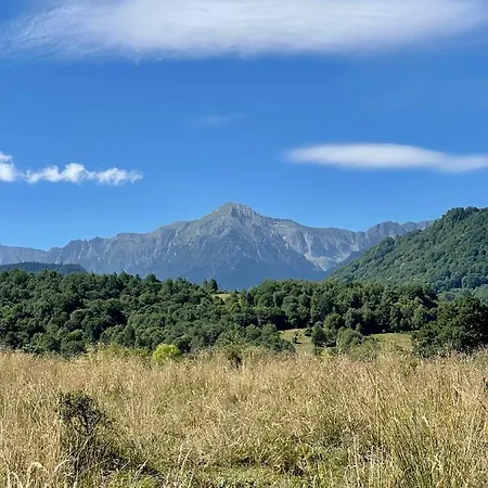 Ursu’ Zburator Case de vacanță *