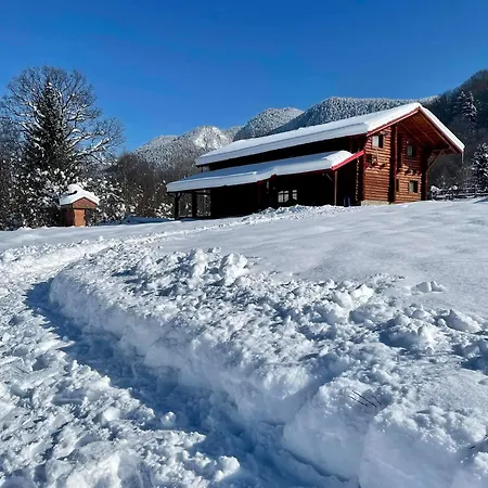 Ursu’ Zburator Case de vacanță Rîşnov